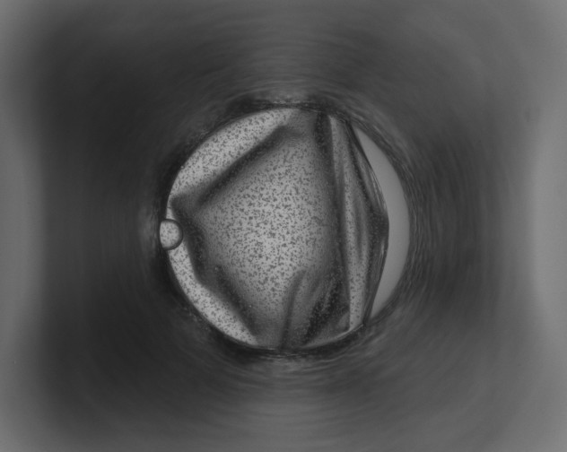 X0000100370697200806271444