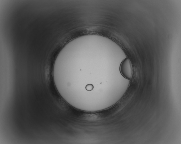 X0000100370698200806271444