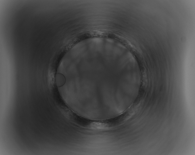 X0000100370699200806271444