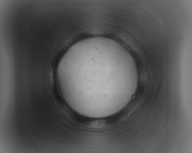 X0000100370700200806271444