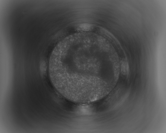 X0000100370701200806271444