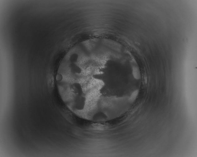 X0000100370703200806271444