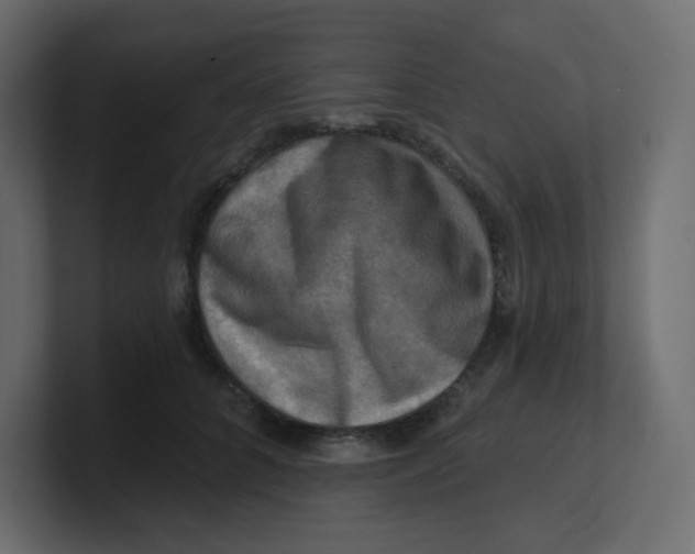 X0000100370704200806271444