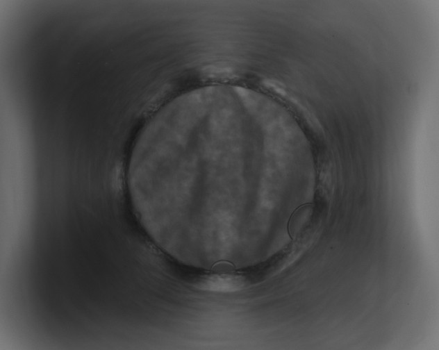 X0000100370708200806271444