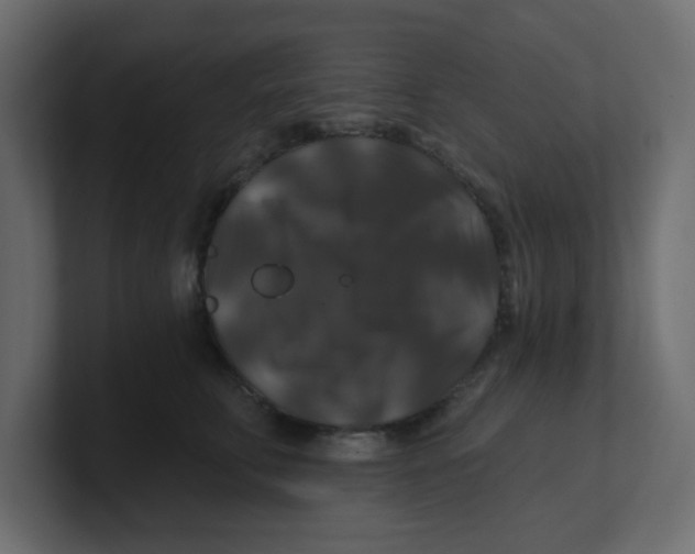 X0000100370711200806271444