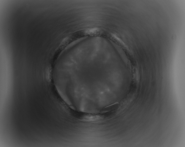 X0000100370712200806271444