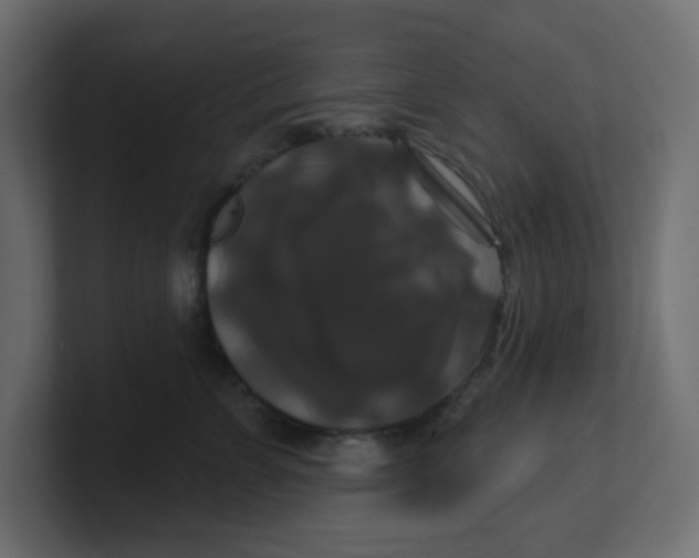 X0000100370715200806271444