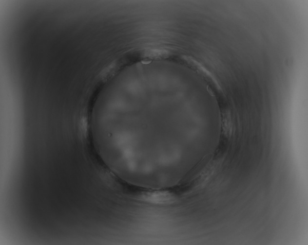 X0000100370716200806271444