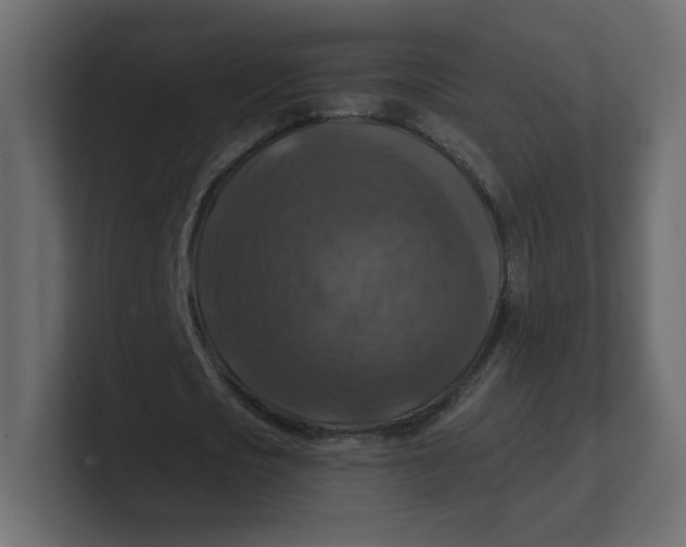 X0000100370721200806271443