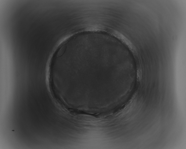 X0000100370724200806271443