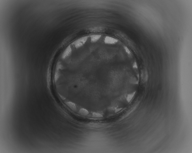 X0000100370725200806271443