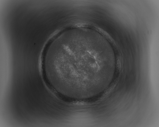 X0000100370730200806271443