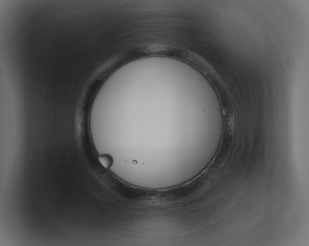 X0000100370732200806271443