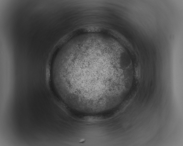 X0000100370733200806271443