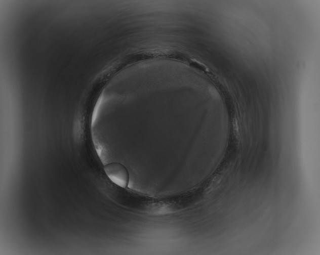 X0000100370735200806271443