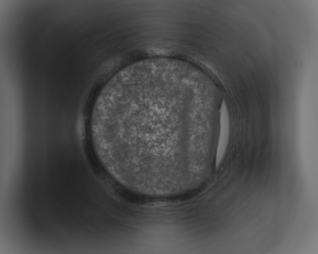 X0000100370738200806271444