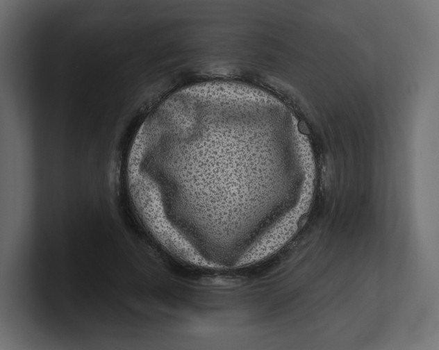 X0000100370739200806271444