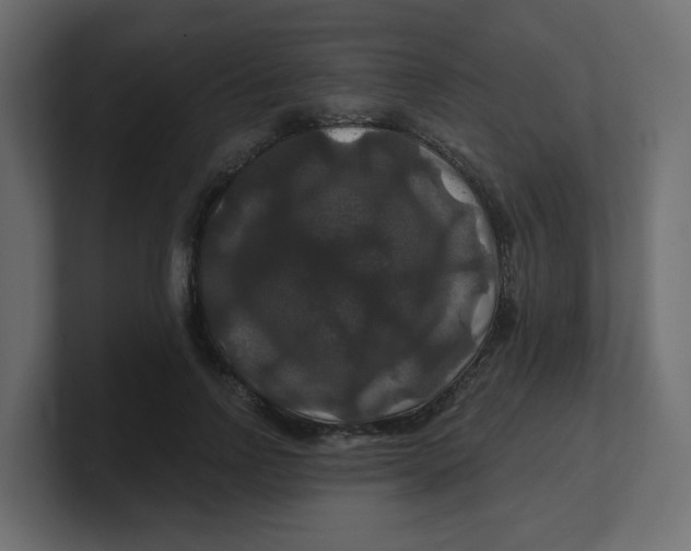 X0000100370742200806271444