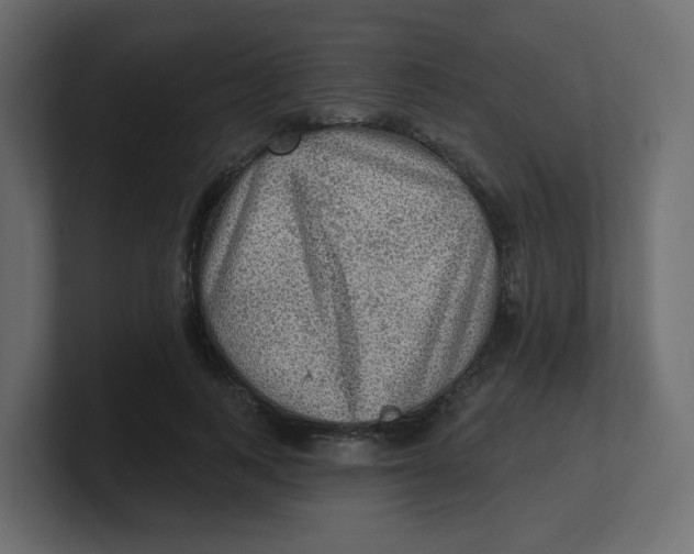 X0000100370743200806271444