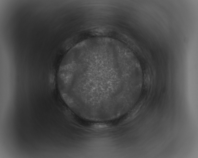 X0000100370749200806271444