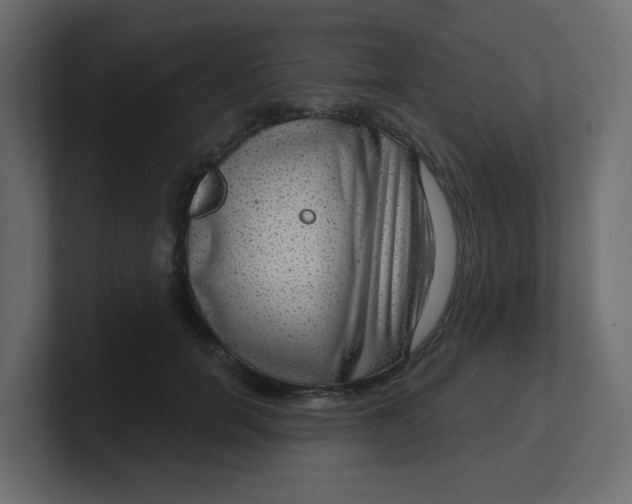 X0000100370750200806271444