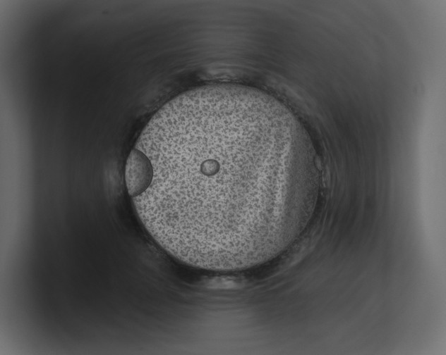 X0000100370751200806271444