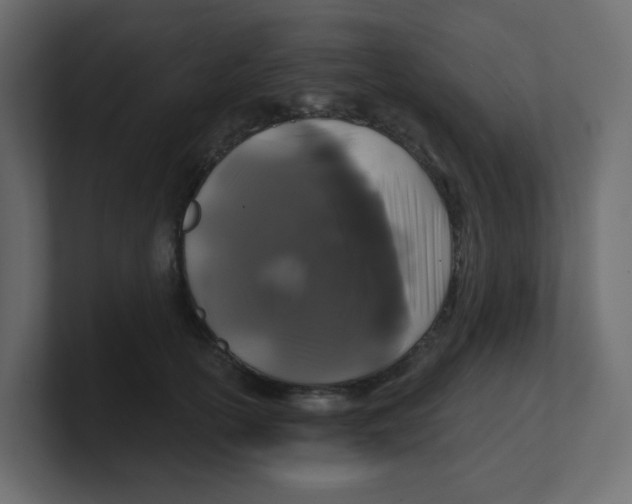 X0000100370754200806271444