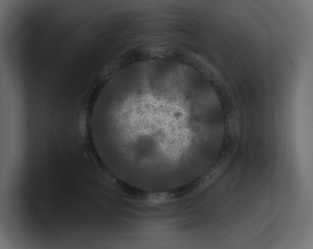 X0000100370757200806271444