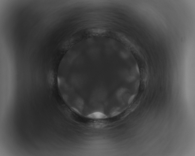 X0000100370758200806271444