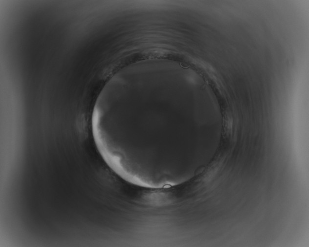 X0000100370759200806271444