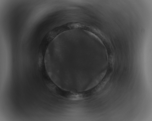 X0000100370760200806271444