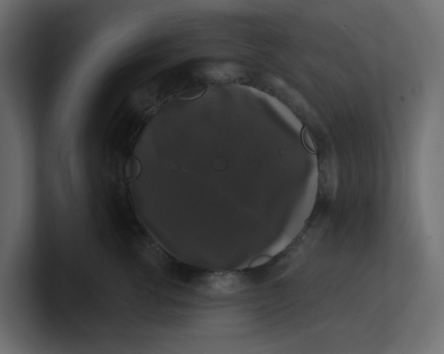 X0000100370762200806271444