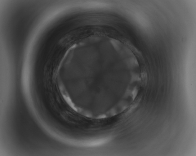 X0000100370765200806271444