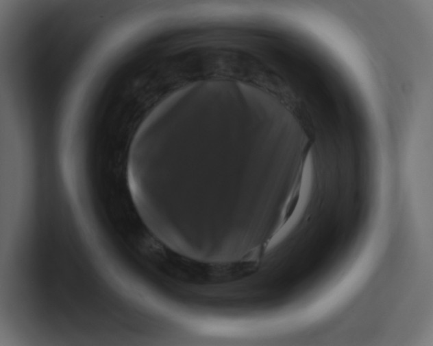 X0000100370766200806271444