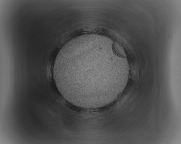 X0000100370770200806271443