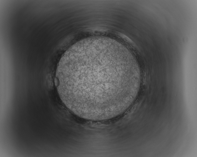 X0000100370774200806271443