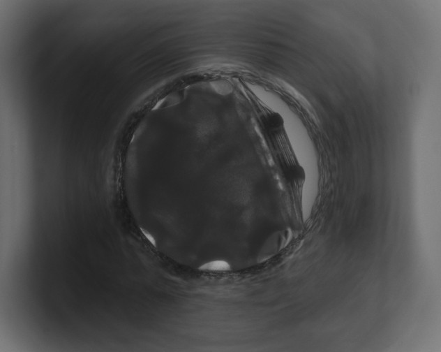 X0000100370775200806271443