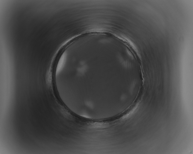 X0000100370779200806271443