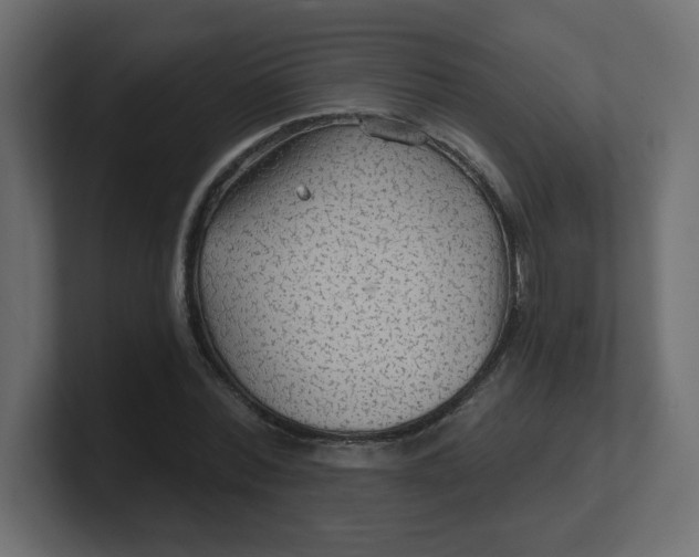 X0000100370780200806271443