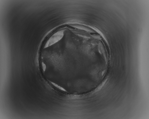 X0000100370783200806271443