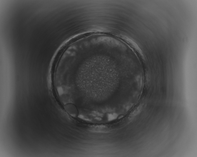 X0000100370784200806271443