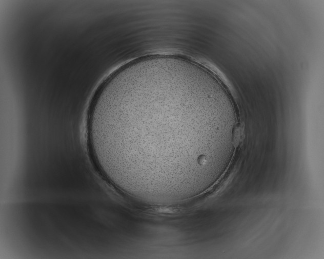 X0000100370787200806271443