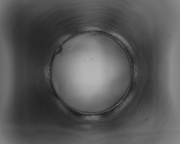 X0000100370793200806271443