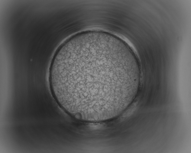 X0000100370799200806271443