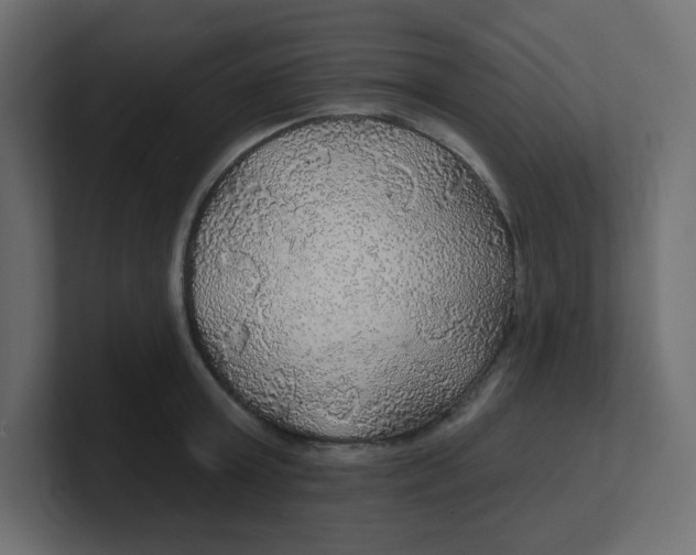 X0000100370803200806271443