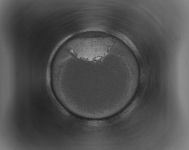 X0000100370804200806271443