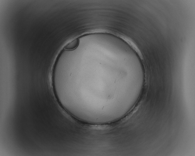 X0000100370805200806271443