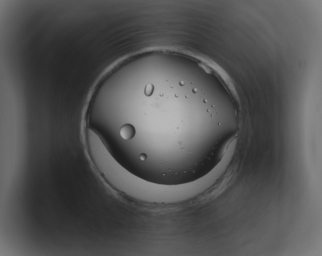 X0000100370807200806271443