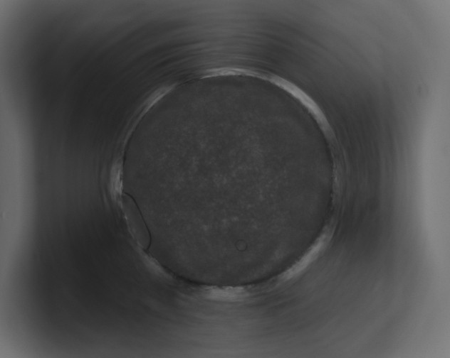 X0000100370809200806271443