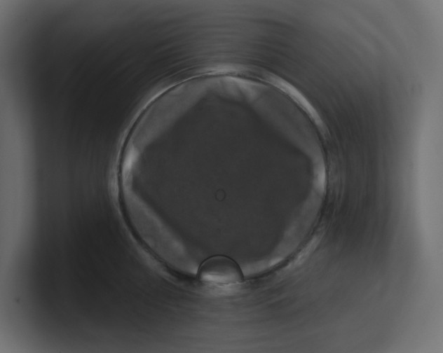 X0000100370810200806271443